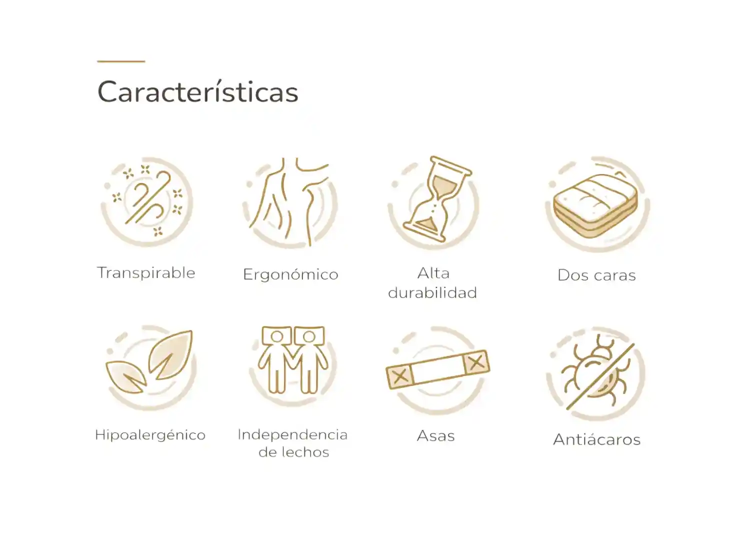 Los colchones de pack canapé y colchón son transpirables, ergonómicos, de alta durabilidad y antiácaros